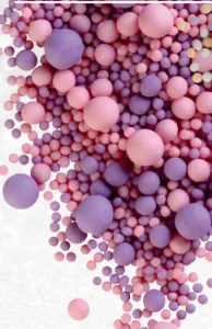 Снимок Снимок