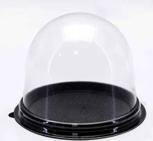 00000012469 00000012469